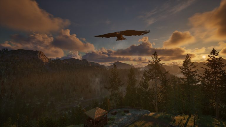 Ranger’s Path National Park Simulator screenshot 1
