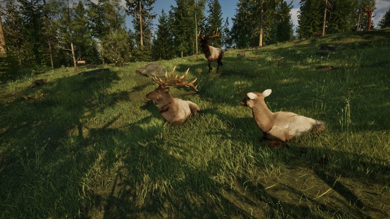 Ranger’s Path National Park Simulator screenshot 6