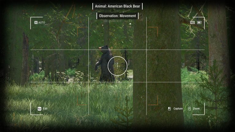 Ranger’s Path National Park Simulator screenshot 9