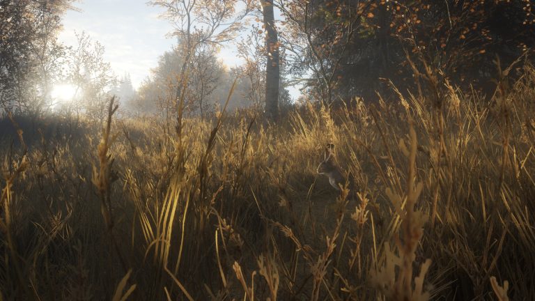 theHunter: Call of the Wild screenshot 7